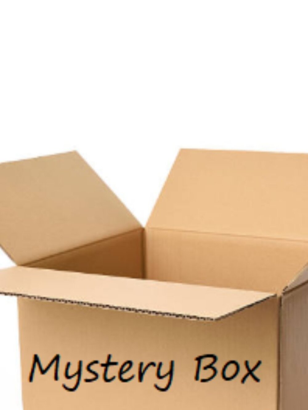 👗 Mystery Box Women's Clothing & Accessories 👜